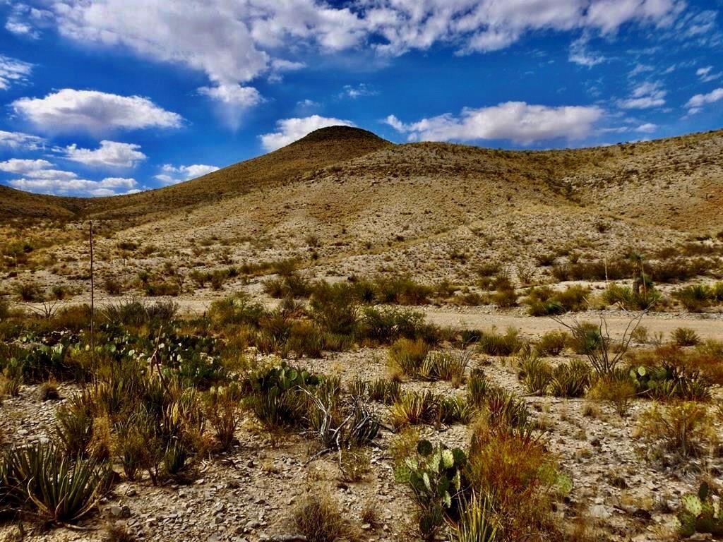 6785 Cedar Springs Road, Terlingua, Texas image 1