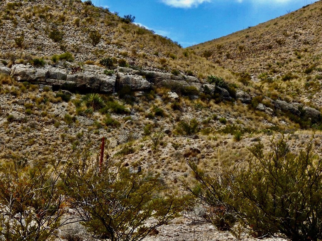 6785 Cedar Springs Road, Terlingua, Texas image 3