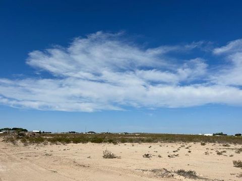 Vacant Land For Sale - 000 Mcintyre<br/> Pecos County, Fort Stockton, TX 79735