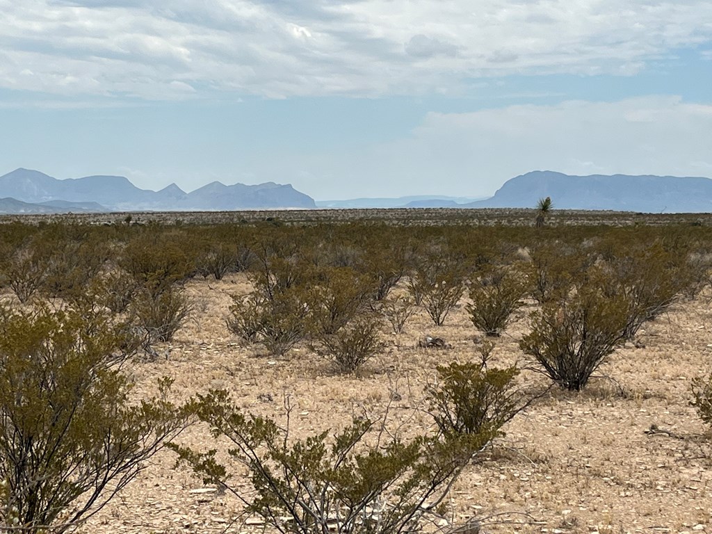 14754 A Titan Pkwy, Terlingua, Texas image 4