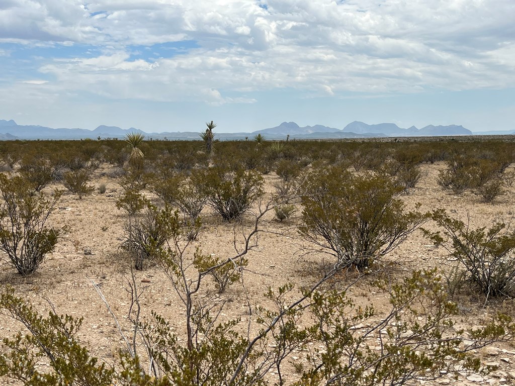 14754 A Titan Pkwy, Terlingua, Texas image 3