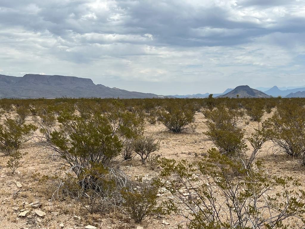 14754 A Titan Pkwy, Terlingua, Texas image 2