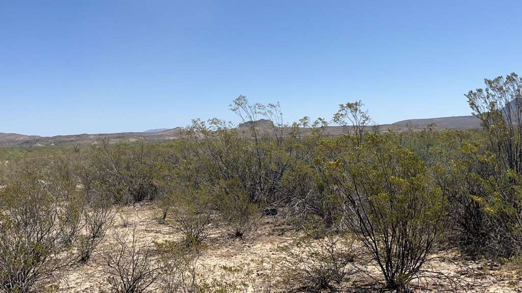 4500 Diamond Back Rd, Terlingua, Texas image 4