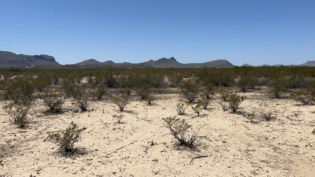 4500 Diamond Back Rd, Terlingua, Texas image 1