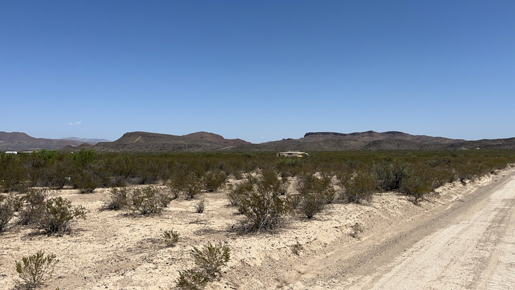 4500 Diamond Back Rd, Terlingua, Texas image 15