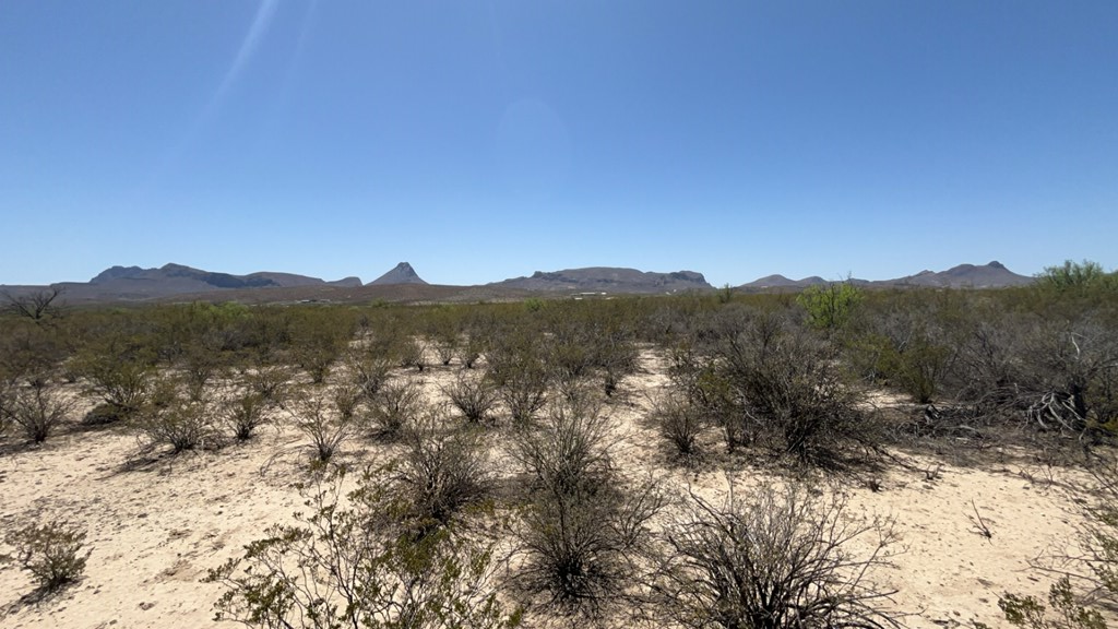 4500 Diamond Back Rd, Terlingua, Texas image 6