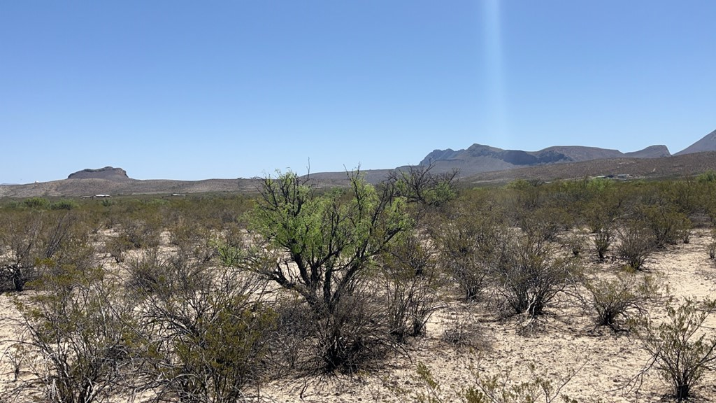 4500 Diamond Back Rd, Terlingua, Texas image 8