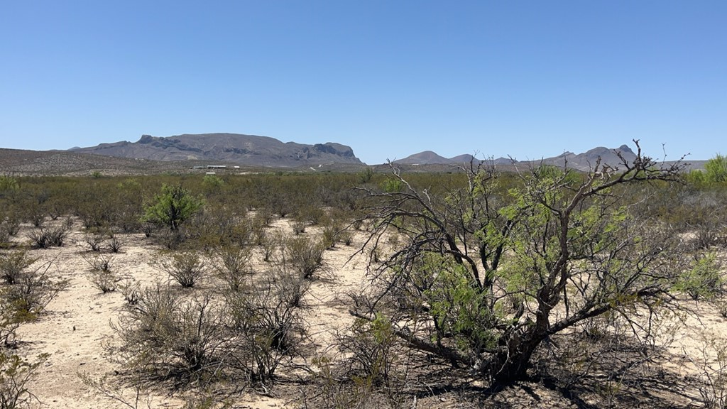 4500 Diamond Back Rd, Terlingua, Texas image 17