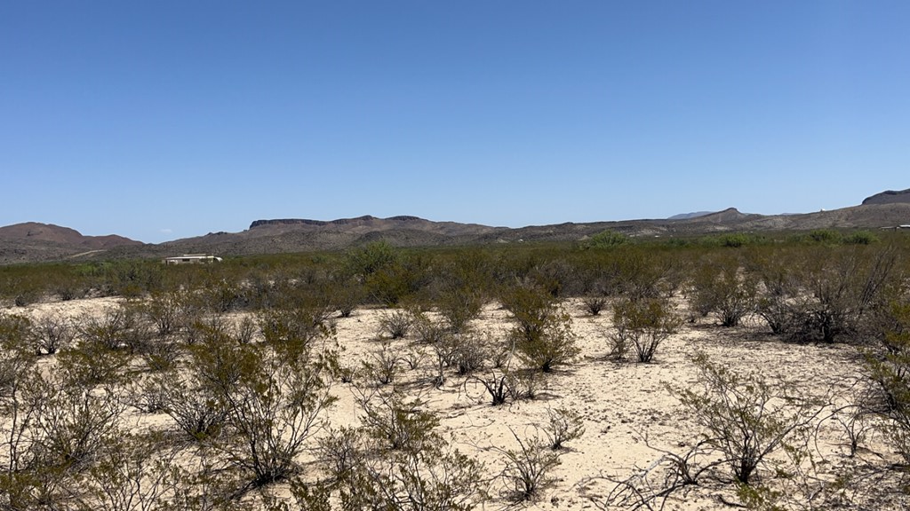 4500 Diamond Back Rd, Terlingua, Texas image 5