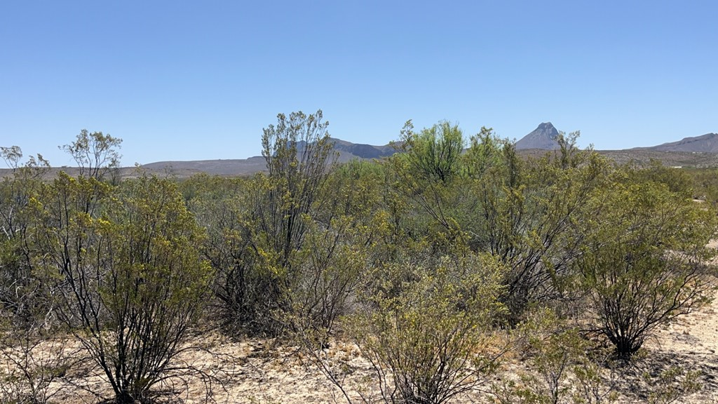 4500 Diamond Back Rd, Terlingua, Texas image 7