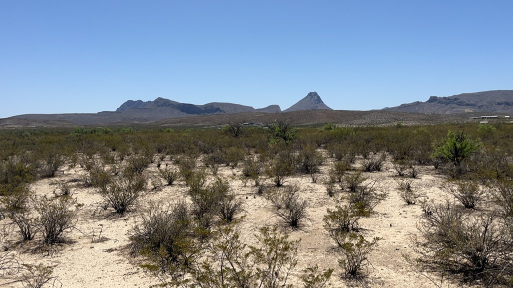 4500 Diamond Back Rd, Terlingua, Texas image 16