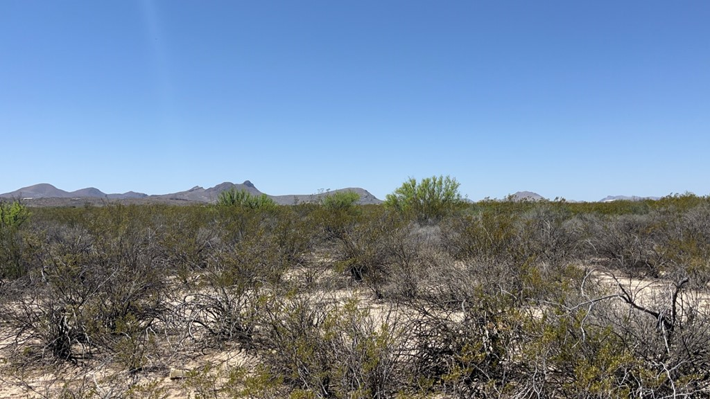 4500 Diamond Back Rd, Terlingua, Texas image 12