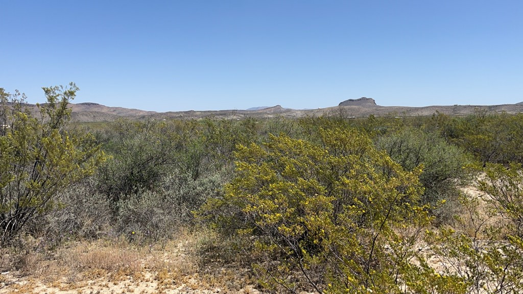 4500 Diamond Back Rd, Terlingua, Texas image 2