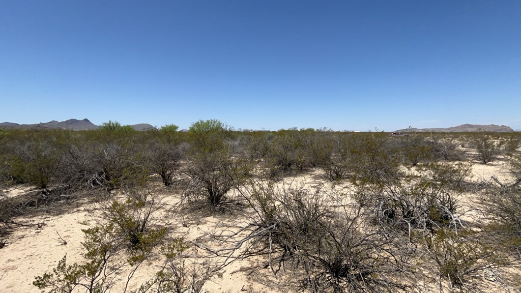 4500 Diamond Back Rd, Terlingua, Texas image 10