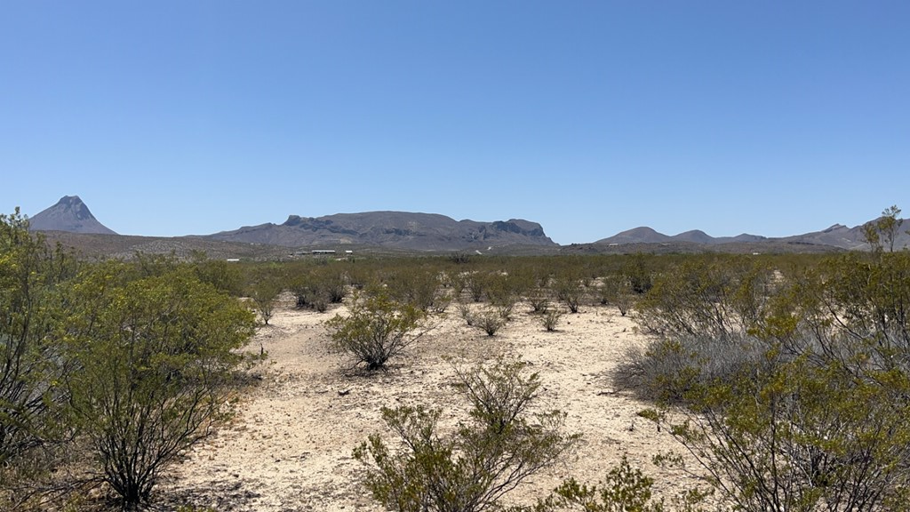 4500 Diamond Back Rd, Terlingua, Texas image 18