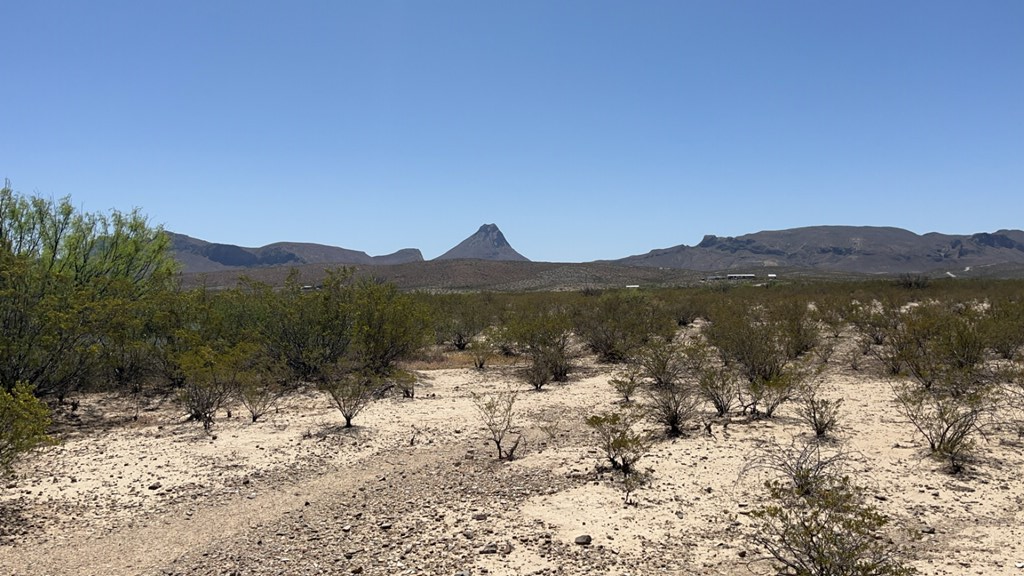 4500 Diamond Back Rd, Terlingua, Texas image 3