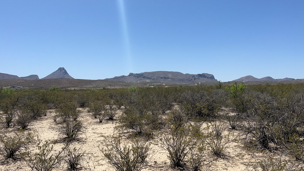 4500 Diamond Back Rd, Terlingua, Texas image 9