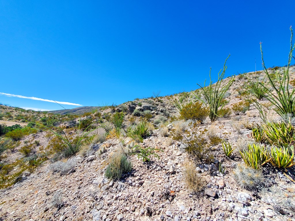 26319 Private Rd, Terlingua, Texas image 20