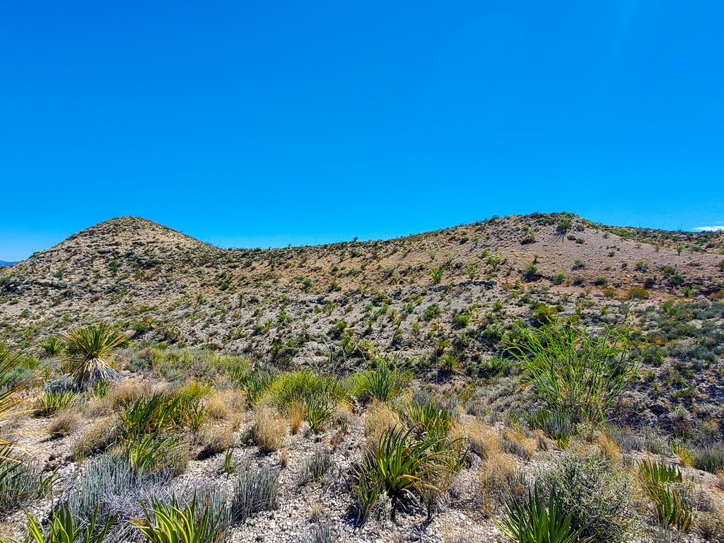 26319 Private Rd, Terlingua, Texas image 10