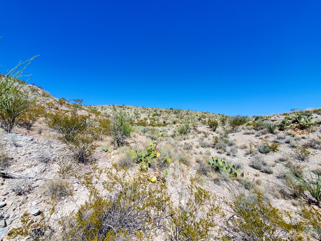 26319 Private Rd, Terlingua, Texas image 18