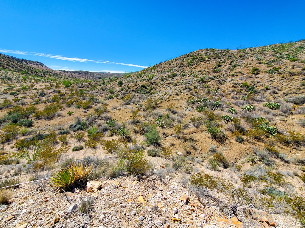 26319 Private Rd, Terlingua, Texas image 9