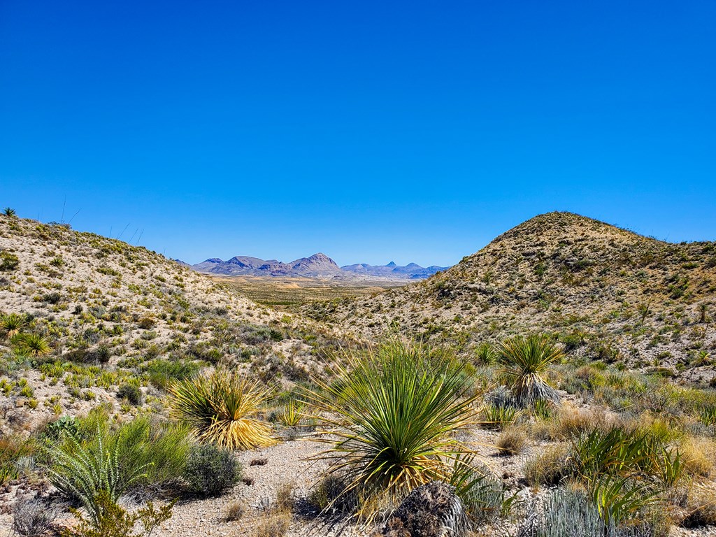 26319 Private Rd, Terlingua, Texas image 2