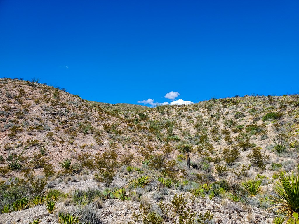 26319 Private Rd, Terlingua, Texas image 22