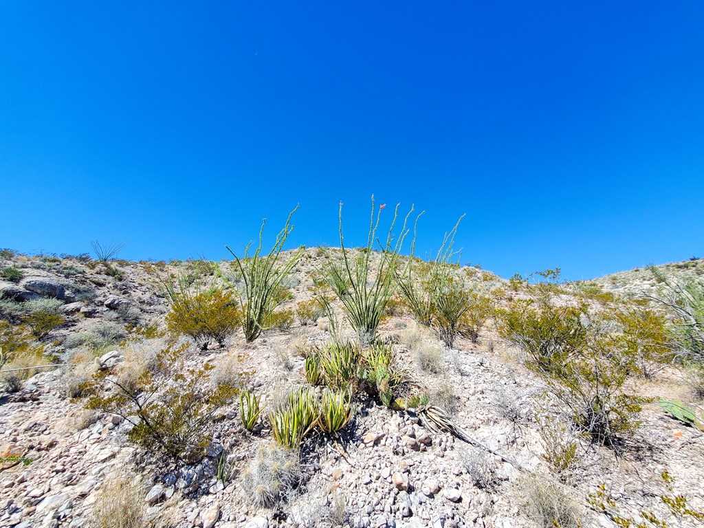 26319 Private Rd, Terlingua, Texas image 19