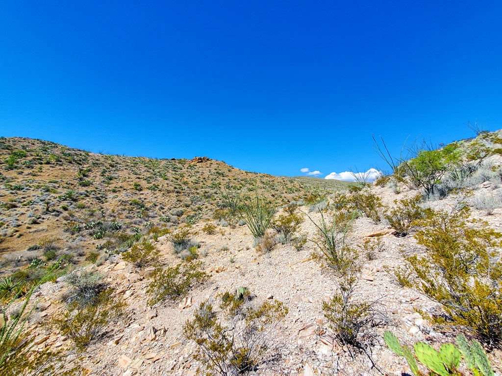 26319 Private Rd, Terlingua, Texas image 15