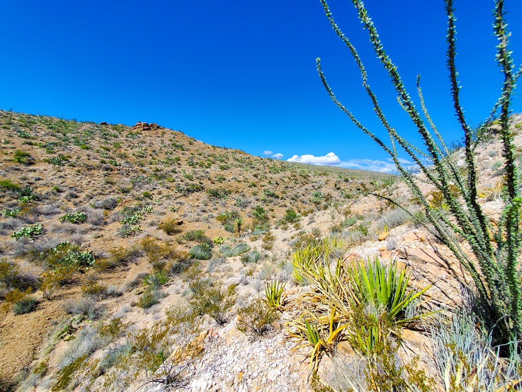 26319 Private Rd, Terlingua, Texas image 3