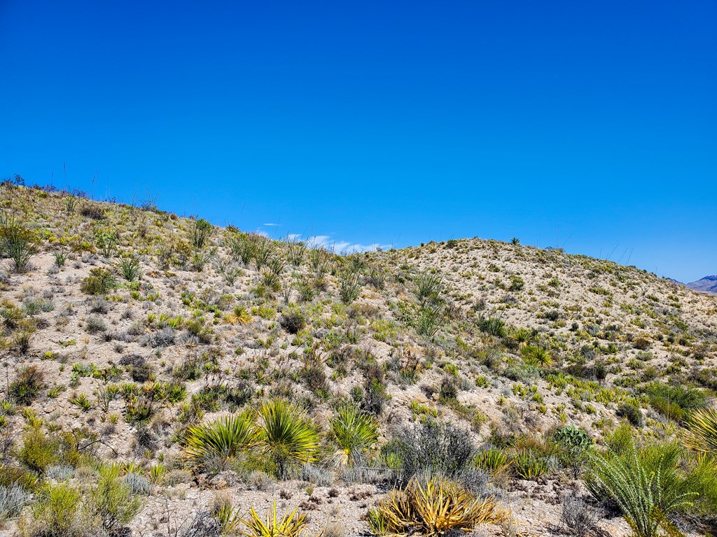 26319 Private Rd, Terlingua, Texas image 21