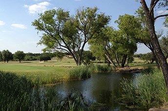 TBD Lake Breeze Dr, Brownwood, Texas image 9