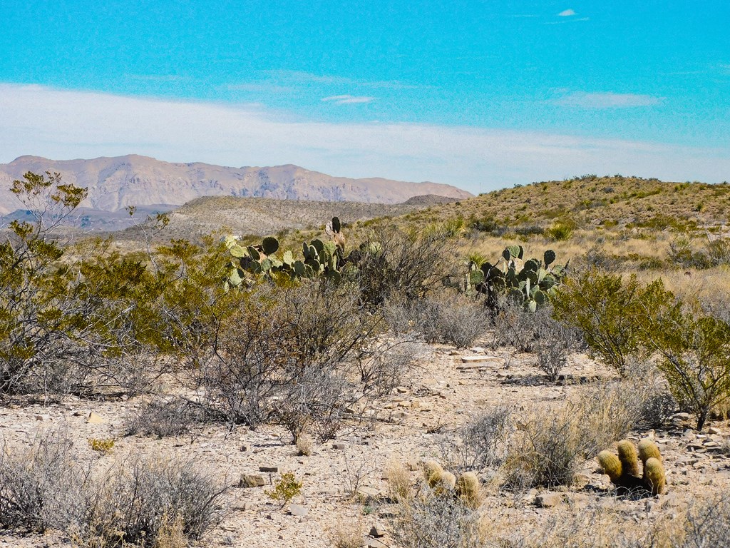 6695 Feldspar St, Terlingua, Texas image 9