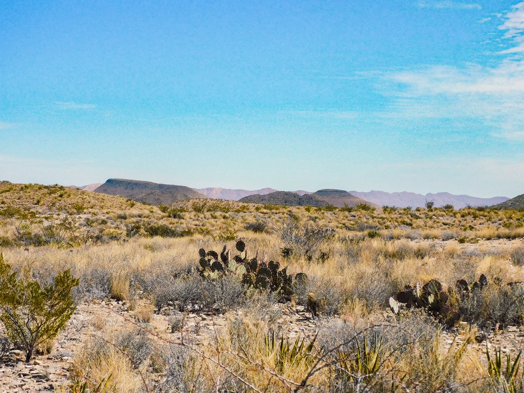 6695 Feldspar St, Terlingua, Texas image 35