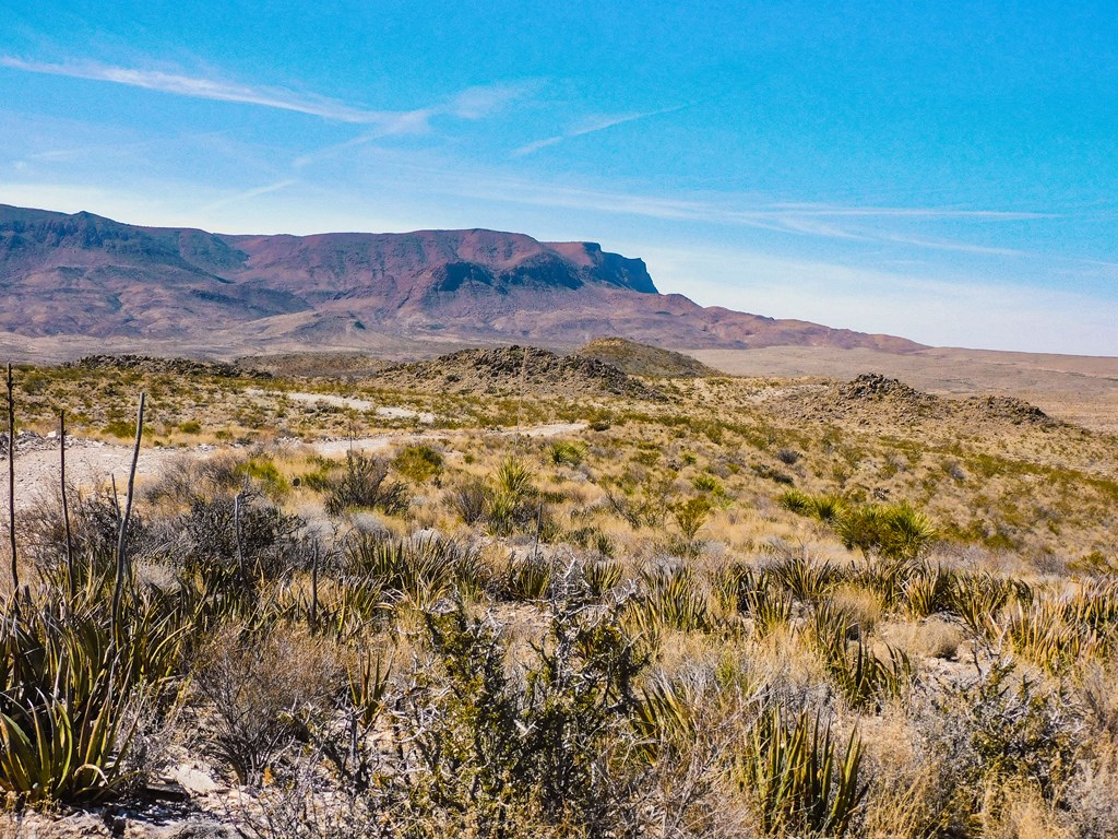 6695 Feldspar St, Terlingua, Texas image 8