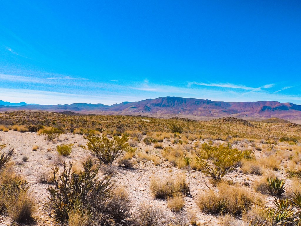 6695 Feldspar St, Terlingua, Texas image 14