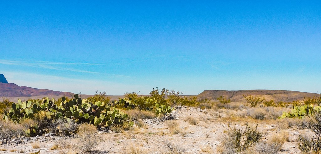 6695 Feldspar St, Terlingua, Texas image 25