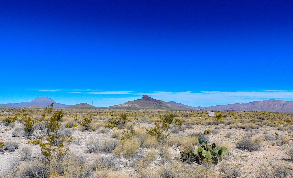 6695 Feldspar St, Terlingua, Texas image 4