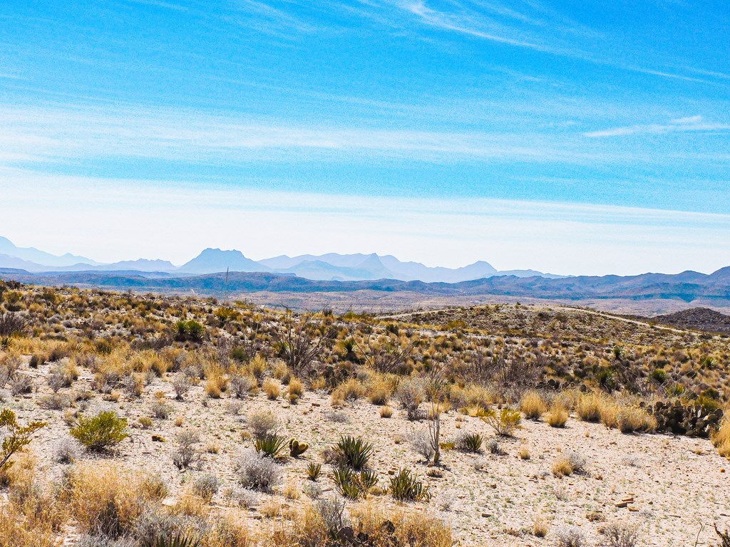 6695 Feldspar St, Terlingua, Texas image 16