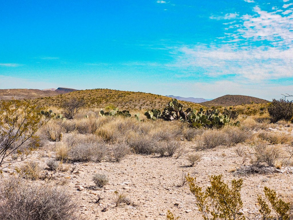 6695 Feldspar St, Terlingua, Texas image 19