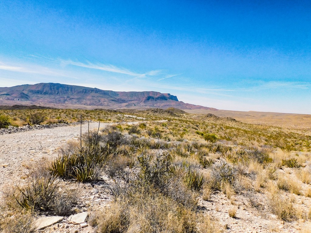 6695 Feldspar St, Terlingua, Texas image 29