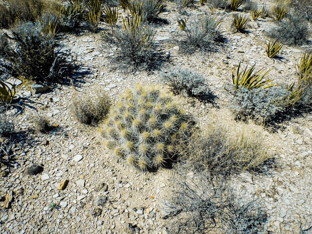 6695 Feldspar St, Terlingua, Texas image 33