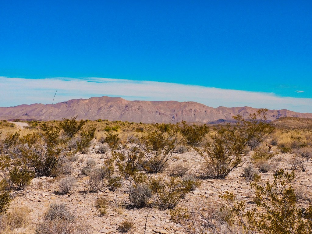 6695 Feldspar St, Terlingua, Texas image 12