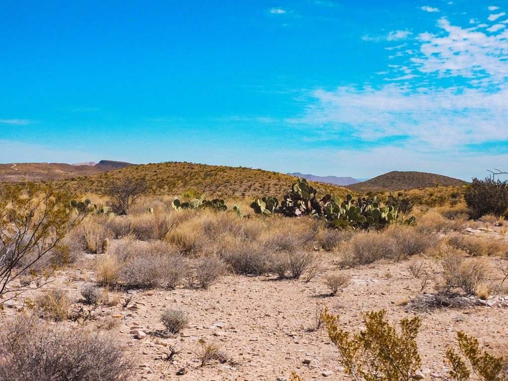 6695 Feldspar St, Terlingua, Texas image 20