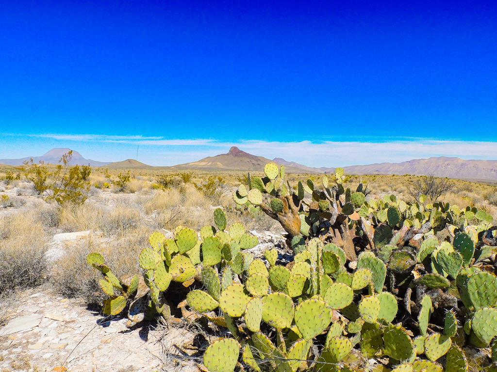 6695 Feldspar St, Terlingua, Texas image 1