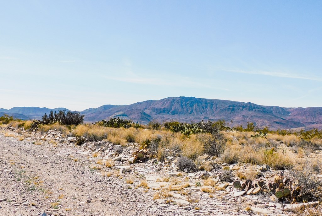 6695 Feldspar St, Terlingua, Texas image 23