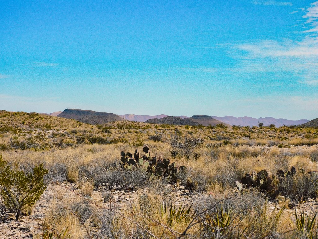 6695 Feldspar St, Terlingua, Texas image 34