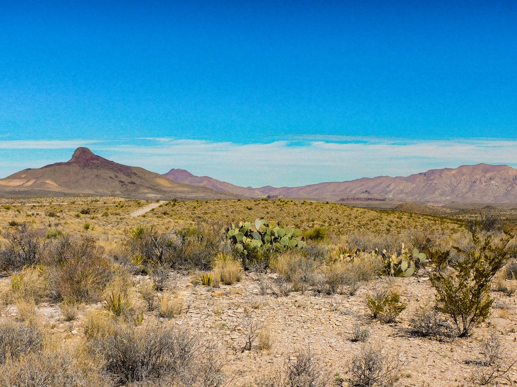 6695 Feldspar St, Terlingua, Texas image 11