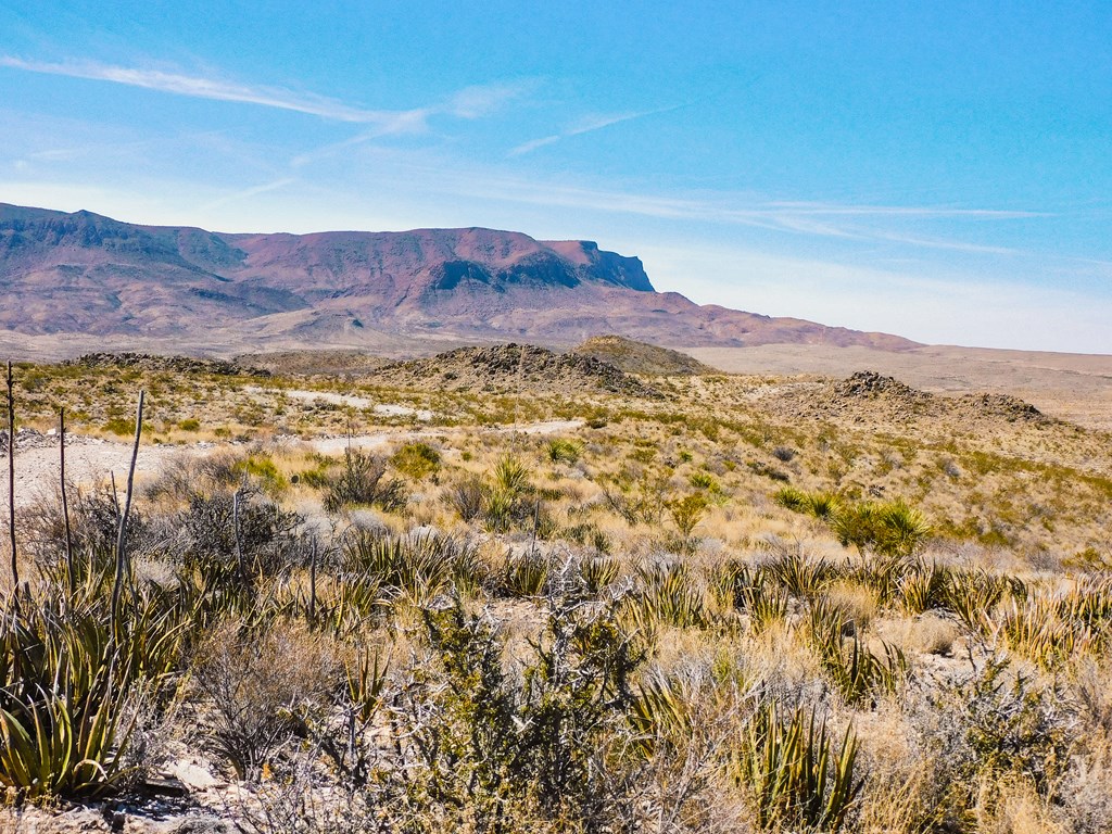 6695 Feldspar St, Terlingua, Texas image 30