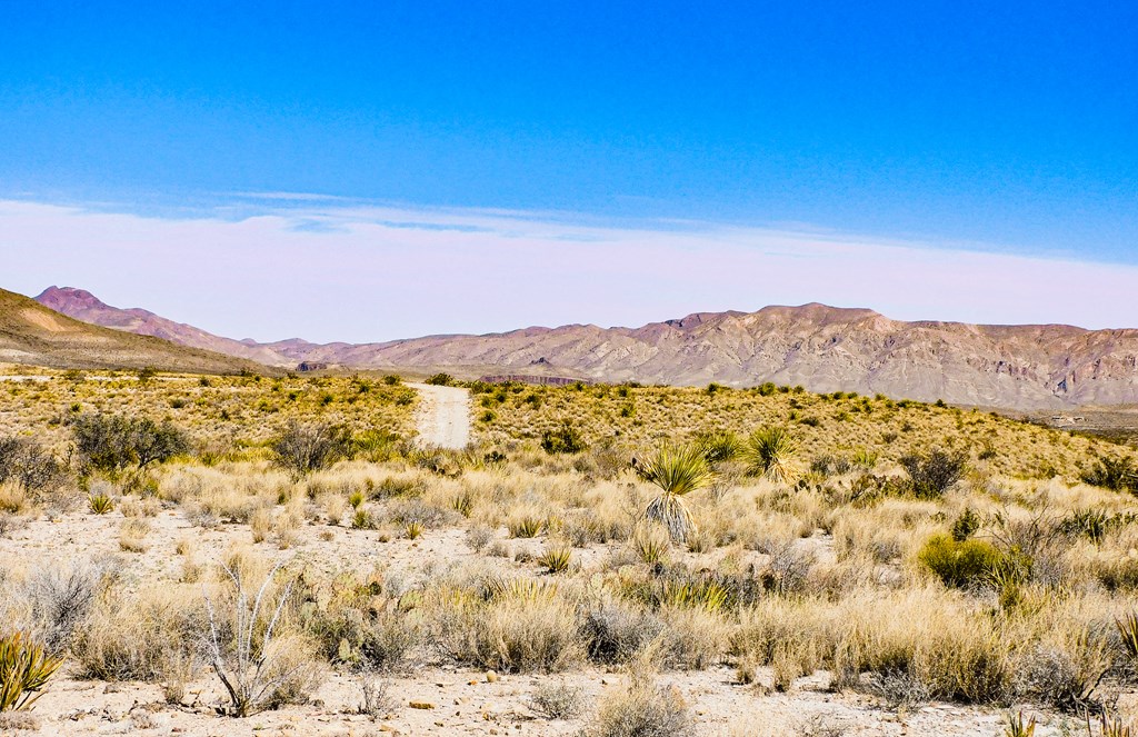 6695 Feldspar St, Terlingua, Texas image 13